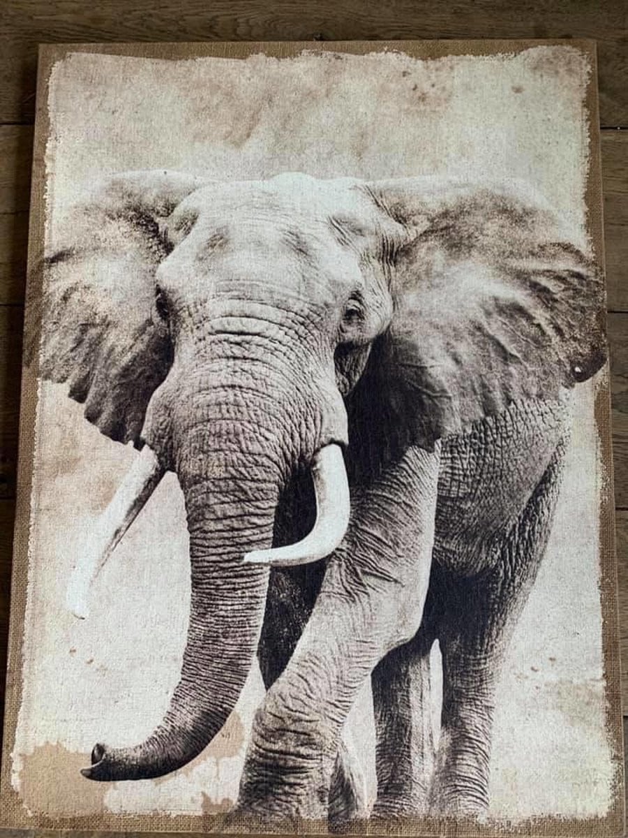 Canvas schilderij met olifant voor volwassenen