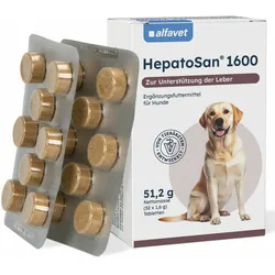 32 Tabletten HepatoSan 1600