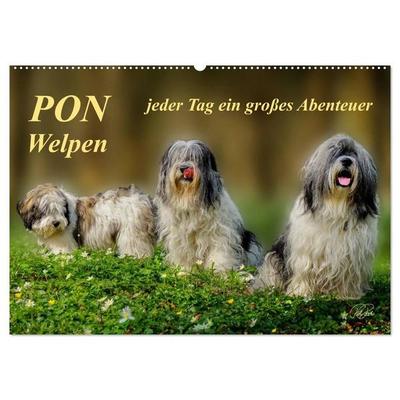 PON - Welpen, jeder Tag ein großes Abenteuer (Wandkalender 2027 DIN A2 quer), CALVENDO Monatskalender