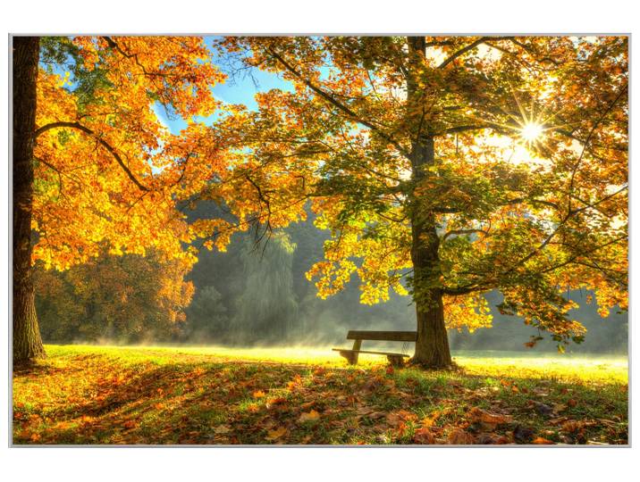 Bild mit Rahmen Sonnenaufgang im Herbstwald image LAND