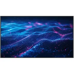 Newline DSX-6526 (3840 x 2160 Pixel, 65"), Digital Signage, Schwarz