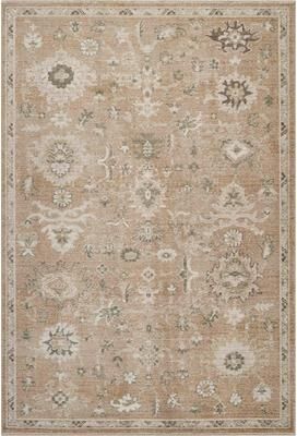 Abani Rugs EVE120A Evelyn Traditional Vintage Terracotta Rust Ivory Area Rug