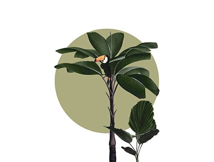 Komar Wandbild - Botanical Garden Palmtree - Größe: 30 x 40 cm - Poster, Kunstdruck, Dekoration, Wohnzimmer, Schlafzimmer