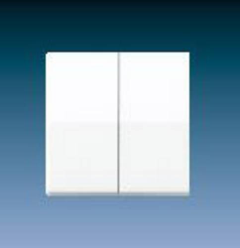 Jung Wippe ws AS 591-5
