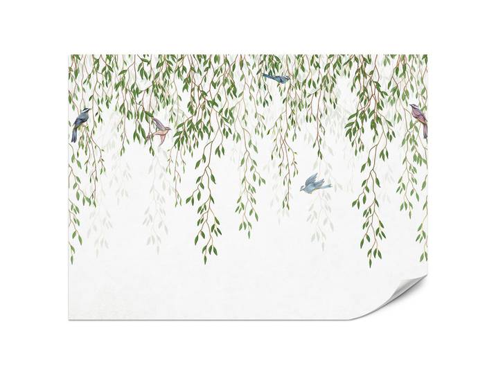 Muralo Fototapete für Schlafzimmer Trauerweide Äste Vögel Frühling Blätter 500x350, Grün, Braun, Beige, Weiß, Blau, Papier, Baum/Pflanze/Natur, Tiere, Rechteckig, 500x350 cm, Tapeten & Wandverkleidungen, Fototapeten