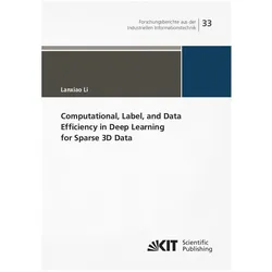 Computational, Label, and Data Efficiency in Deep Learning for Sparse 3D Data, Fachbücher von Lanxiao Li