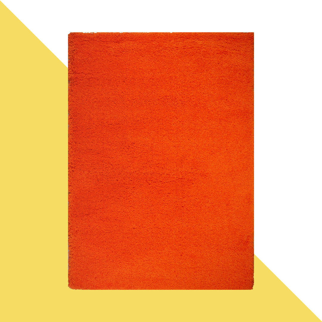 Hashtag Home Esterly Orange Shaggy Rug Orange Rectangle 160 x 230cm