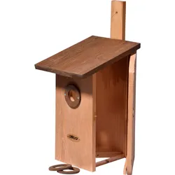 Beobachtungs-Vogelnistkasten "Einblick" aus Holz   versch. Farben