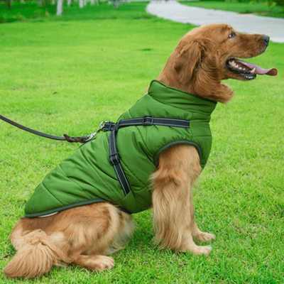 PetsAreLife Dog Coat With Zipper On Back Green 2XL