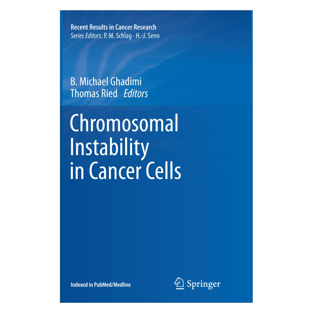 Springer Chromosomal Instability in Cancer Cells (Englisch, Softcover, Michael Ghadimi, Thomas Ried) (55949649)