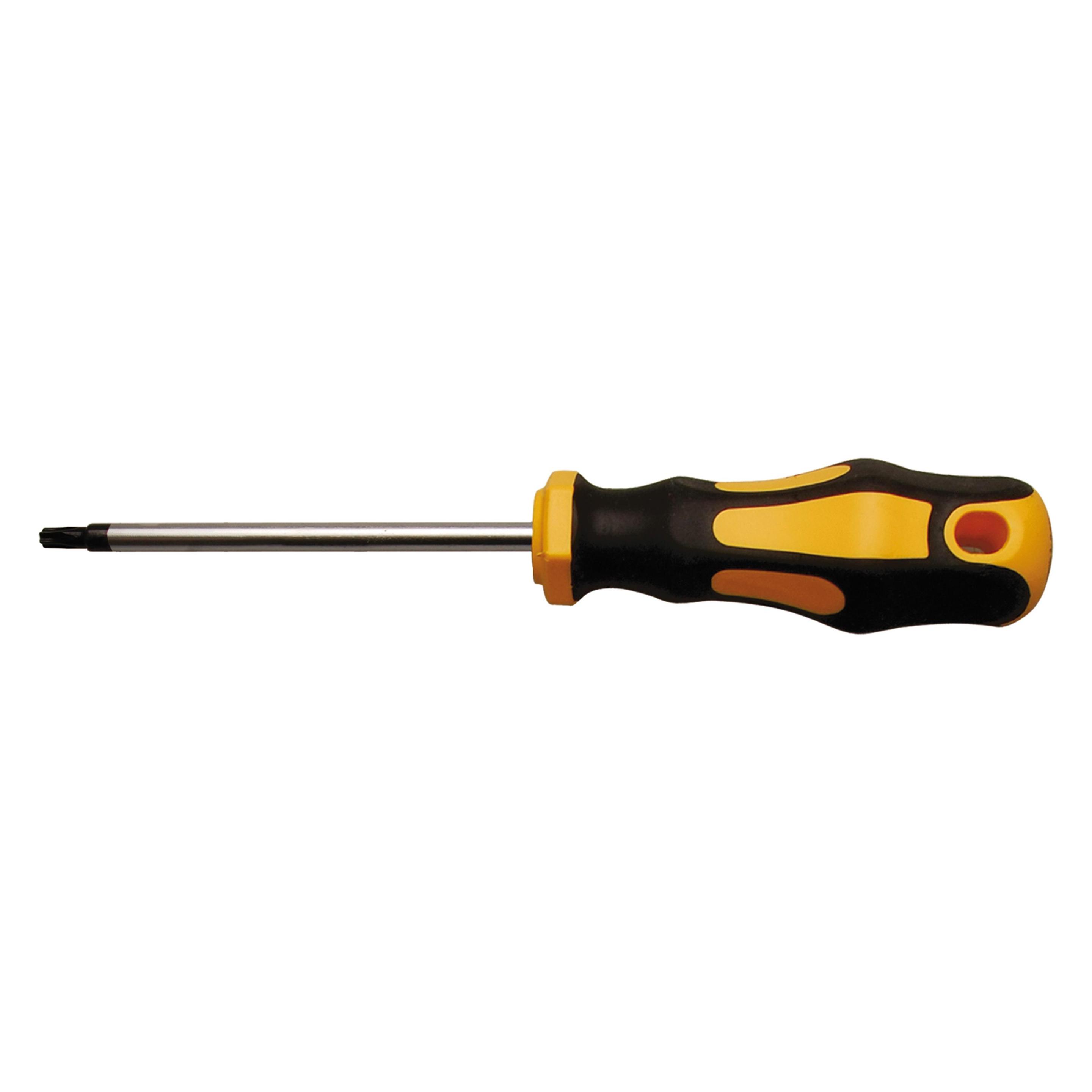 BGS Schraubendreher T-Profil (für Torx) T25 Klingenlänge 100 mm (7844-T25)