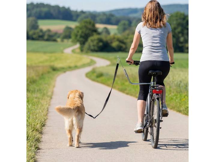 PawHut Laisse Vélo Chien Amovible avec Amortisseur Argent+Noir