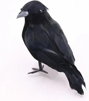 Uplifted Finds Realistic Artificial Black Crow Feathered Raven Halloween Party Decor Prop b 3 Pcs Mixed