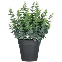 CREATIV green künstliche Pflanze Eukalyptus gunnii XXL im Kunststofftopf, 70cm, UV-beständiger
