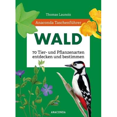 Anaconda Taschenführer Wald - 70 Tier- und Pflanzenarten entdecken und bestimmen, Taschenbuch von Thomas Launois,Xavier Nitsch,Sophie Padié,Morgane