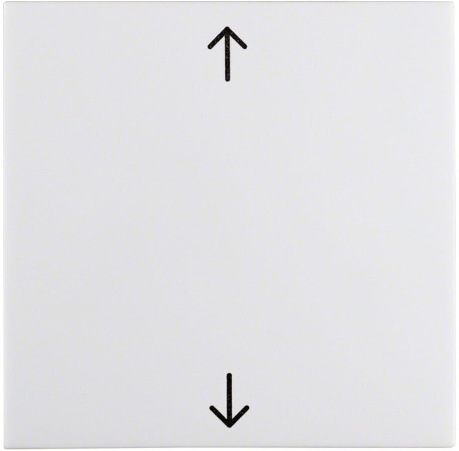 Berker Wippe pws/gl 16208919)