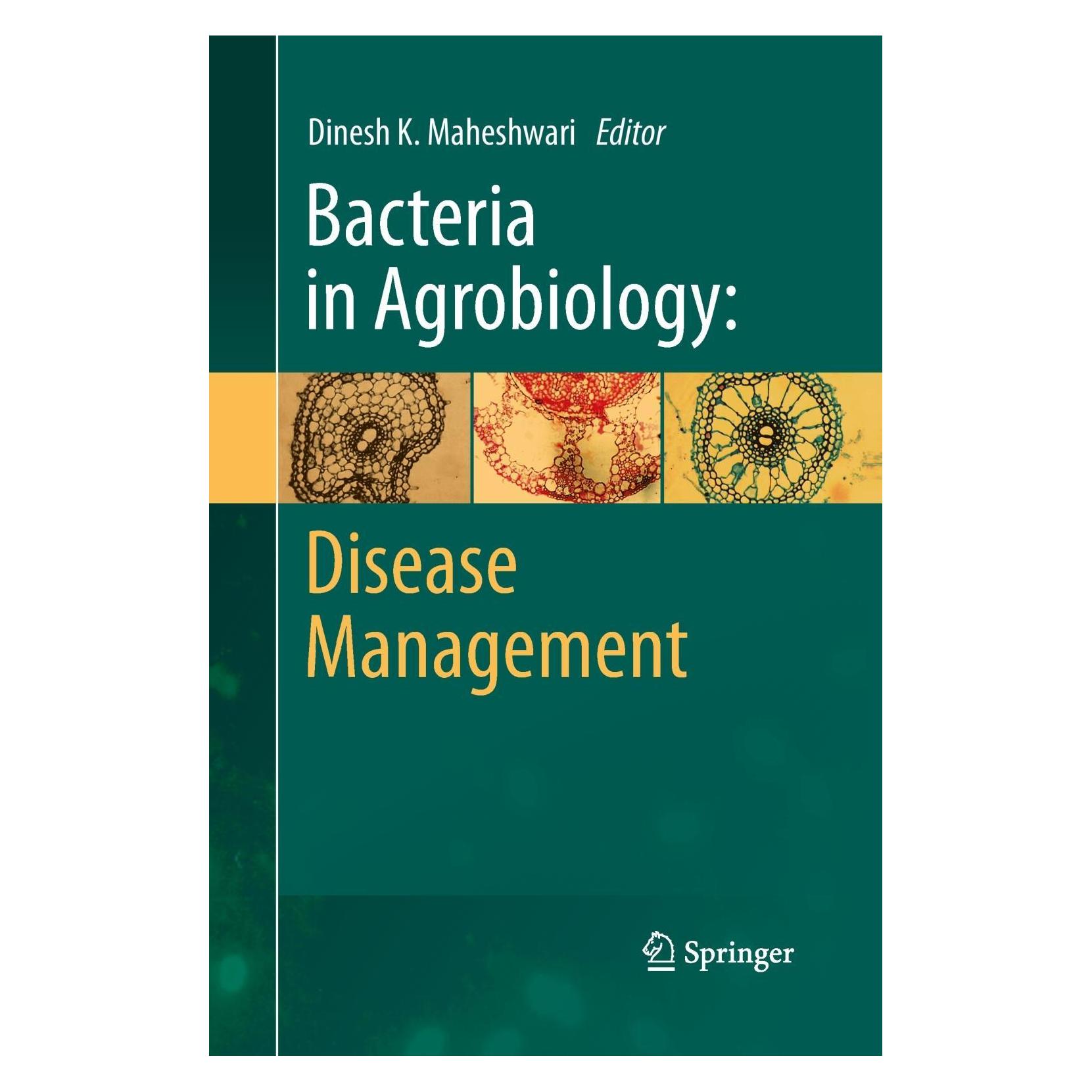 Springer Bacteria in Agrobiology: Disease Management (Englisch, Dinesh K. Maheshwari) (25372666)