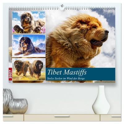 Tibet Mastiffs. Stolze Seelen im Wind der Berge (hochwertiger Premium Wandkalender 2027 DIN A2 quer), Kunstdruck in Hochglanz