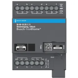 Busch-Jaeger BI-M-10.20.1.11 Binäreingang, 10-fach, Kontaktabfrage, REG 2CDG510015R0021 BIM1020111