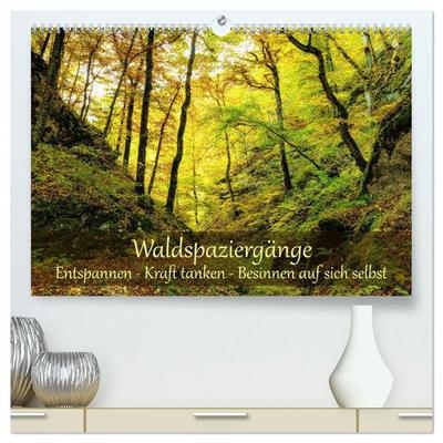 Waldspaziergänge: Entspannen - Kraft tanken - Besinnen auf sich selbst (hochwertiger Premium Wandkalender 2027 DIN A2 quer), Kunstdruck in Hochglanz