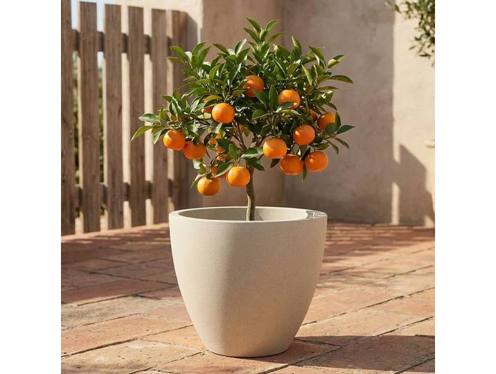 Pflanzkübel 86L aus Kunststoff, Ø58cm, sand