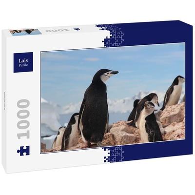 Lais Puzzle Pinguine 1000 Teile