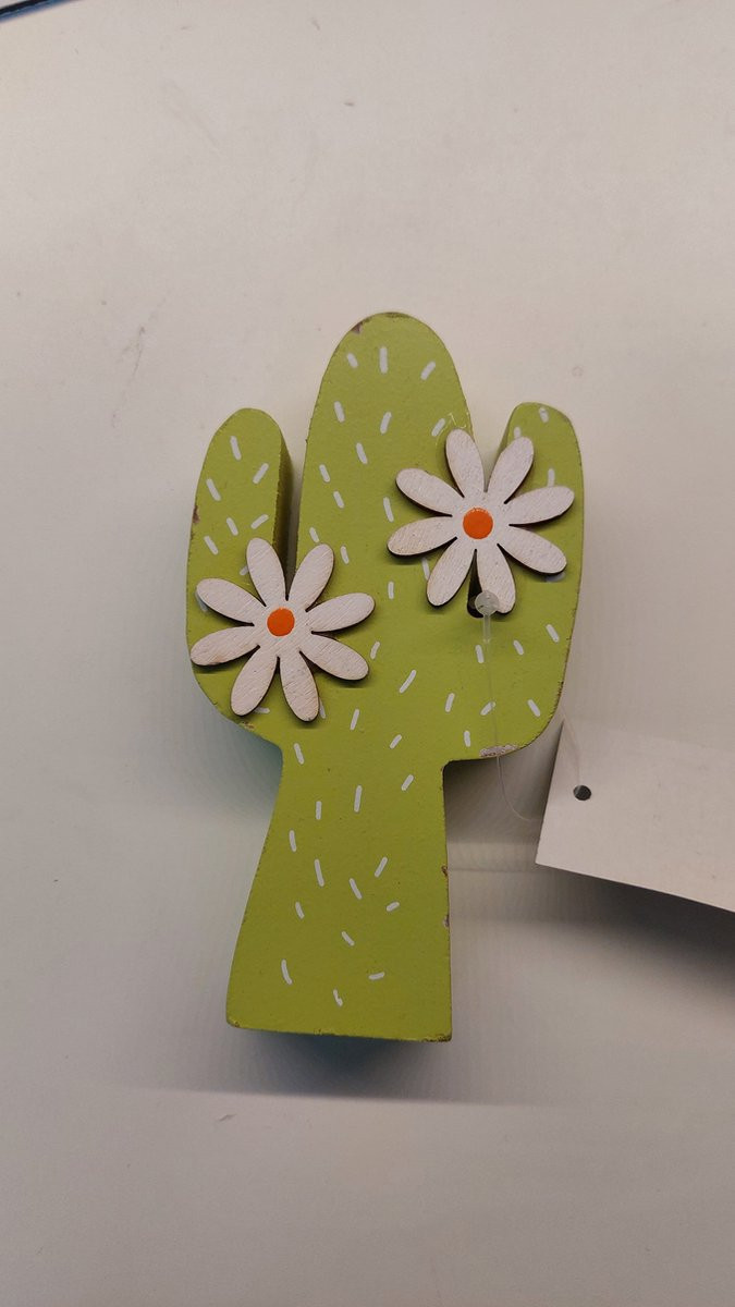 Merkloze groene houten cactus met bloemversiering en bloempot