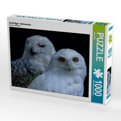 CALVENDO Puzzle Greifvögel - Schneeeule | 1000 Teile Lege-Größe 64x48cm Foto-Puzzle für glückliche Stunden