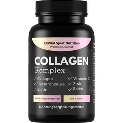Collagen Hyaluronsäure Komplex, 120 Kapseln 1000mg Kollagen von EXVital