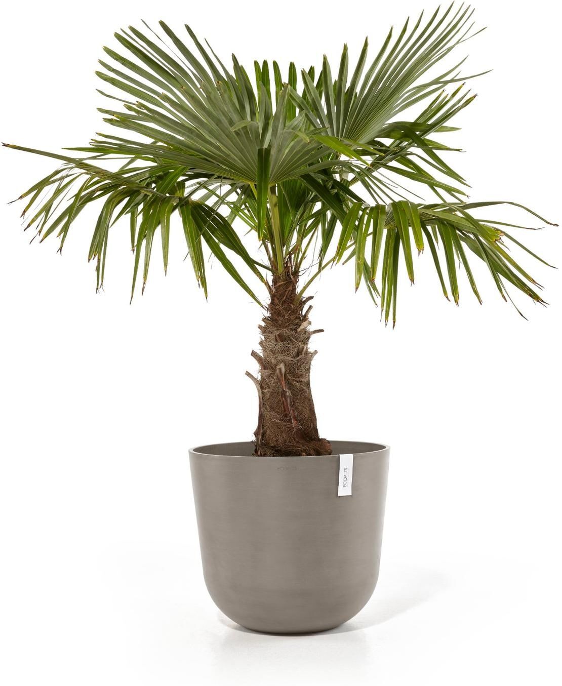 Pflanzkübel ECOPOTS "Oslo 55", blau, H:47,9cm Ø:55cm, Kunststoff, Pflanzgefässe, Pflanzkübel blau Ø 55cm
