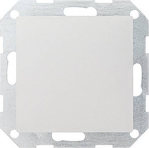 GIRA Schalterprogramm Abdeckung Blindabdeckung System 55, Standard 55, E2, Event, Event Klar, Event Opak, Esprit, ClassiX Reinweiß, Matt 026827 1 St