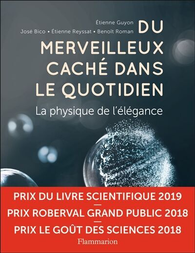 Etienne Guyon;José Bico;Etienne Reyssat;Benoit Roman - Du merveilleux caché dans le quotidien : la physique de l'élégance - Preis vom 14.10.2026 23:07:16 h