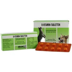 B-Vitamin 20 Tabletten