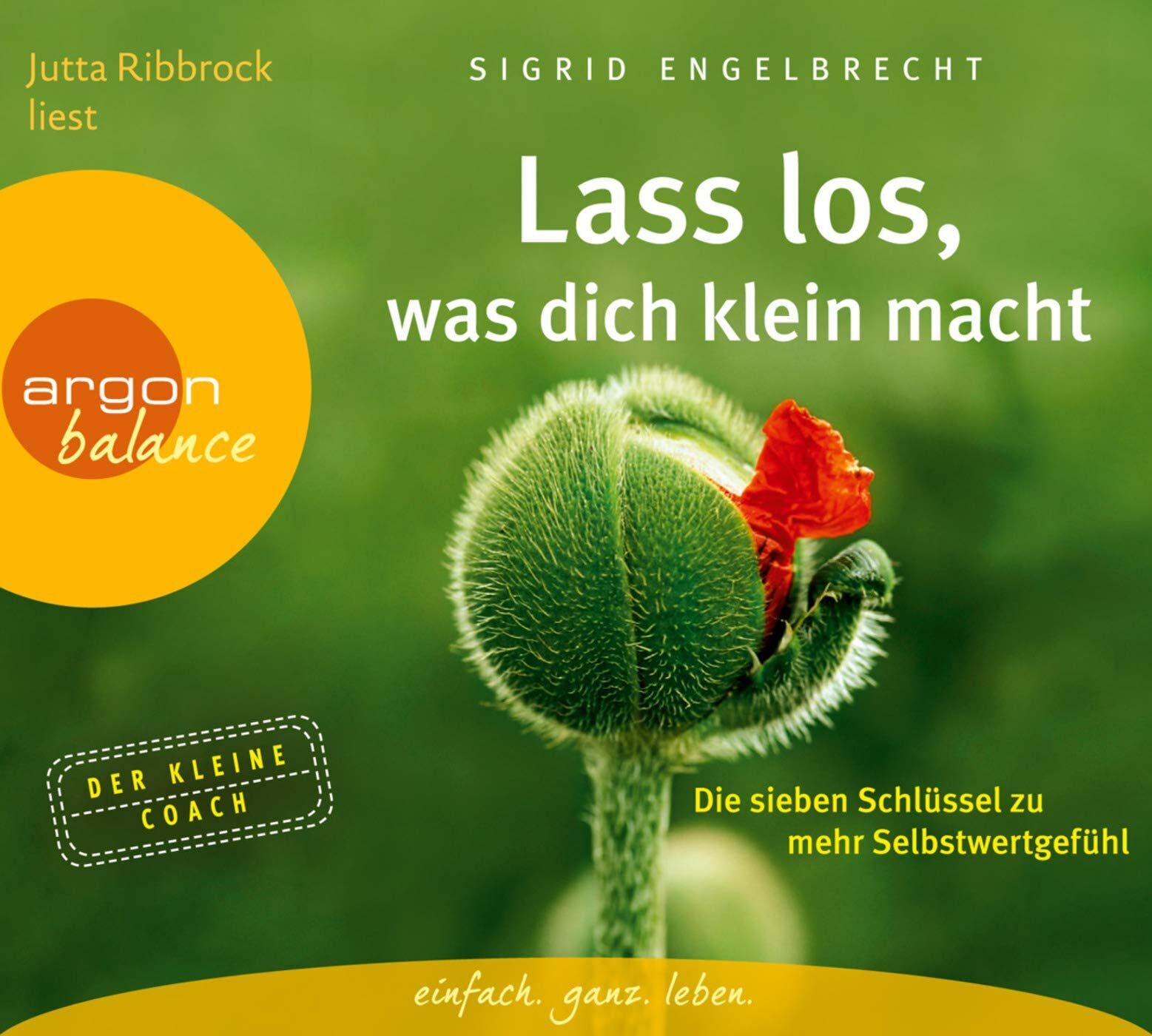 Sigrid Engelbrecht - Lass los, was dich klein macht - Preis vom 01.10.2026 17:08:56 h