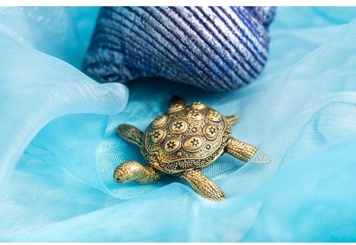 Schildpad messing tabletop voor volwassenen