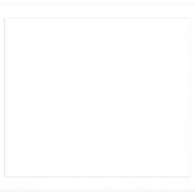 Clairefontaine Zeichenpapier Tulipe A4 160g, Ries 100 Blatt - Weiß 960480C