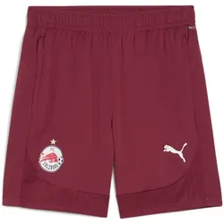 PUMA FC Red Bull Salzburg Trainingsshorts Herren 09 - team regal red/puma white M