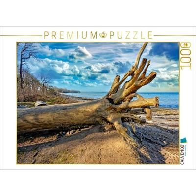 CALVENDO Puzzle Novemberstimmung am Ostseestrand von Beckerwitz | 1000 Teile Lege-Größe 64x48cm Foto-Puzzle für glückliche Stunden