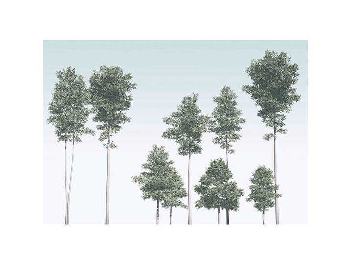 FOTOTAPETE R4-040 PINES
