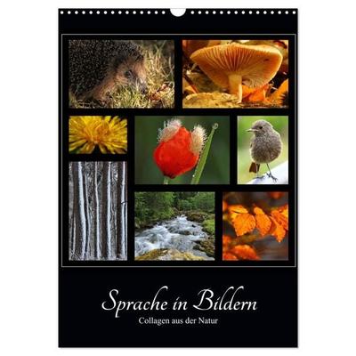 Sprache in Bildern - Collagen aus der Natur (Wandkalender 2027 DIN A3 hoch), CALVENDO Monatskalender