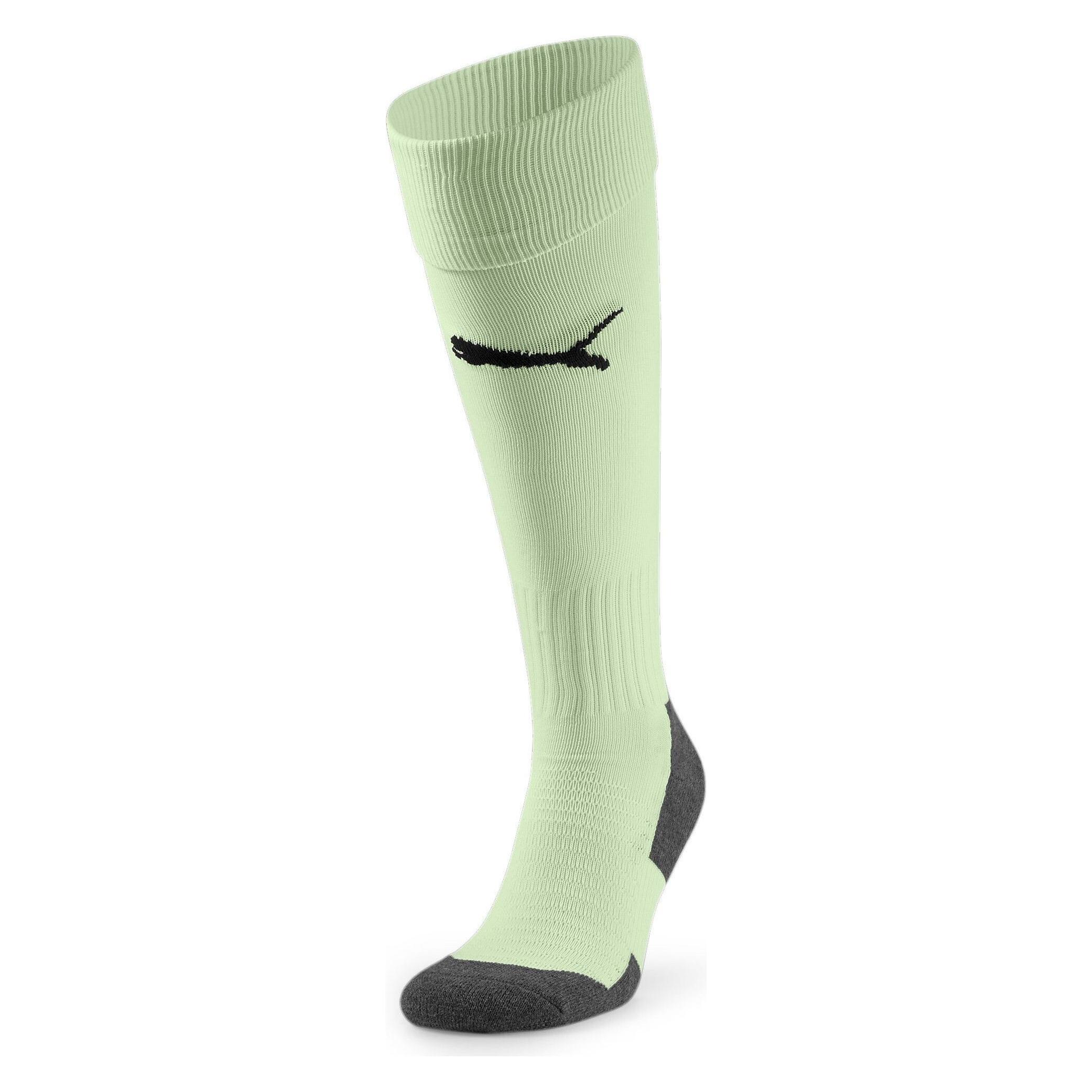 Puma Team LIGA Socks CORE (M) (703441_60)