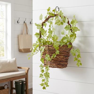Regency International "25"" Lemon Lime English Ivy Spray Set of 3"