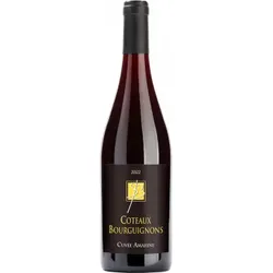 Coteaux Bourguignons 2025 - Domaine Amarine - Closerie des Alisiers - 0.75L