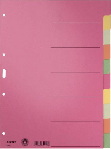 Leitz 43580000 Register DIN A4 blanko Karton Mehrfarbig 6 Registerblätter 43580000