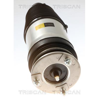 TRISCAN Luftfeder, Fahrwerk 872081102 für Tesla