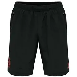 hummel, Herren, Sporthose, Shorts – Dänemark, Schwarz