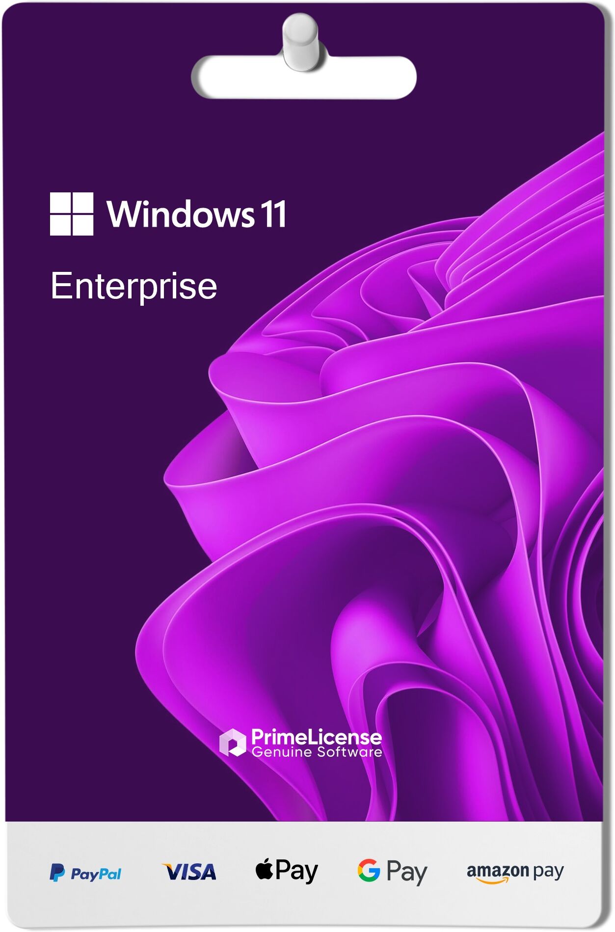 Microsoft Windows 11 Enterprise
