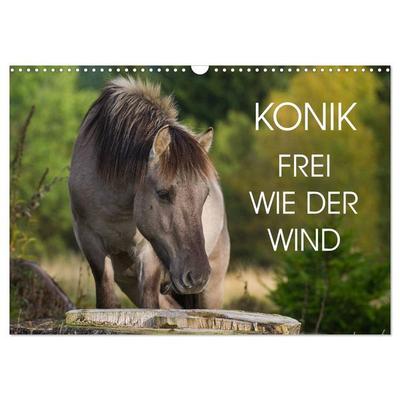 Konik - Frei geboren (Wandkalender 2026 DIN A3 quer), CALVENDO Monatskalender
