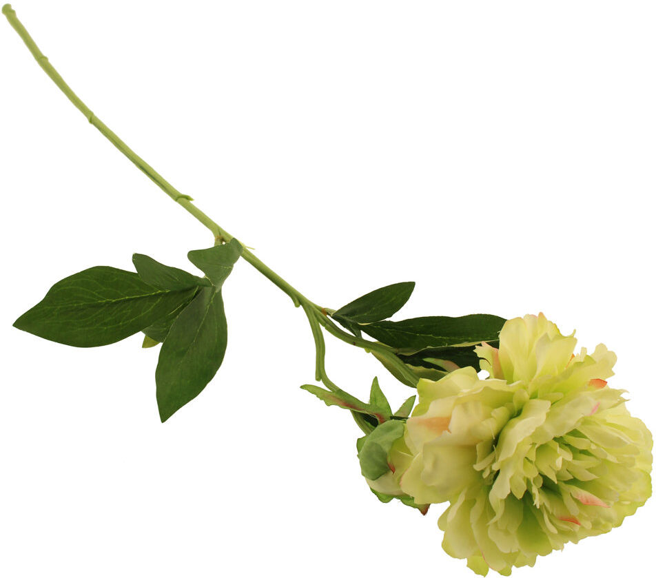 The Seasonal Aisle 66 cm H Peony Green 66cm H X 9cm W X 9cm D