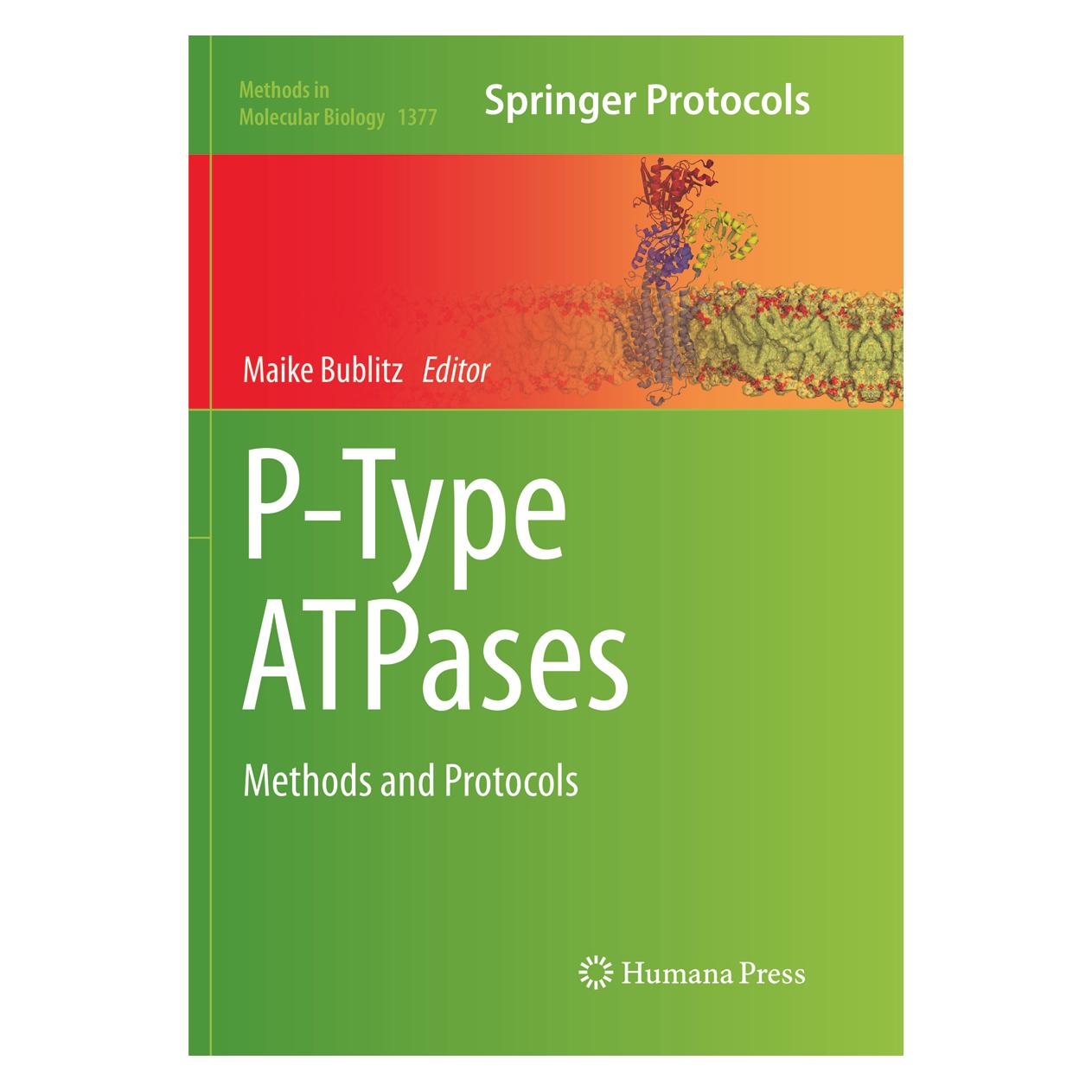Springer P-Type ATPases (Englisch, Softcover) (56042716)